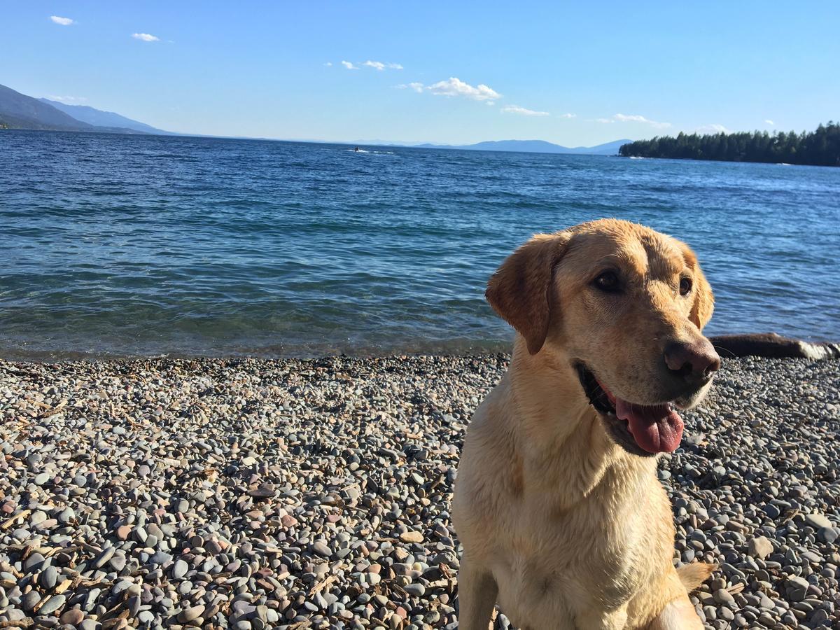 Flathead Lake Resort Woods Bay 外观 照片